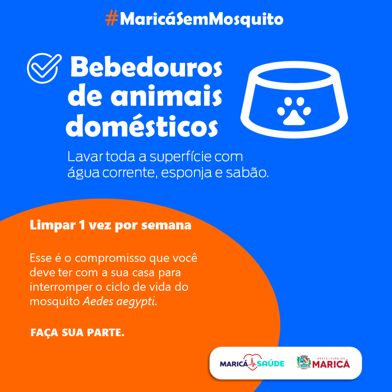 Documento 6